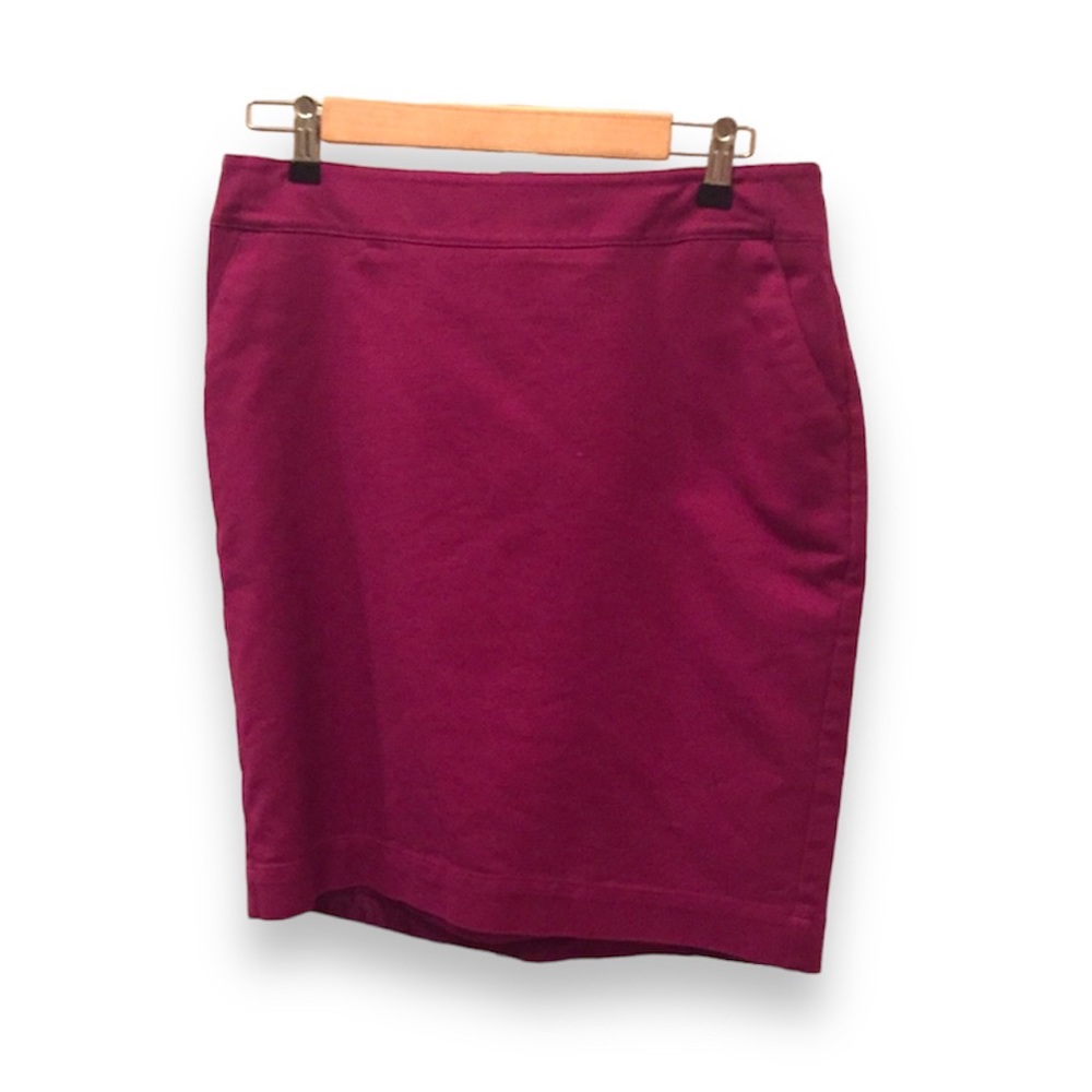 Merona Skirt